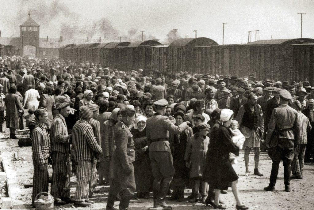 εφηβικό μυθιστόρημα ολοκαύτωμα